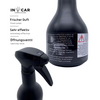 In Light CAR Lack/Interieur Deal 500ml